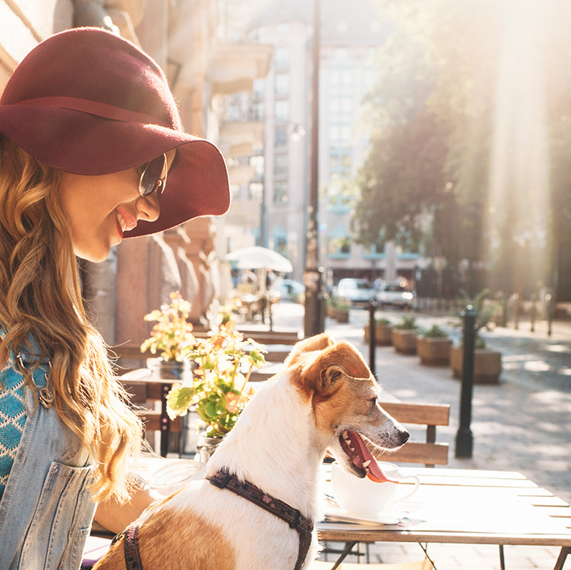 Sonnenschutz Sonnenschutz